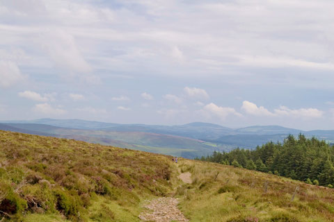 アイルランド - 田舎 - 景色