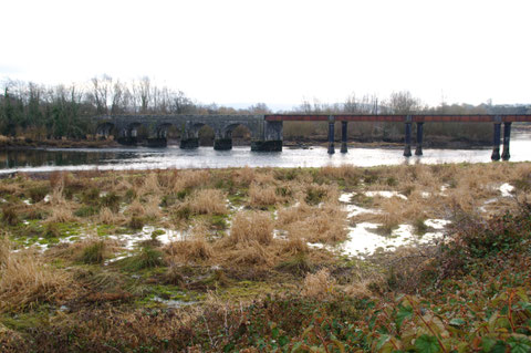 アイルランド 鉄道