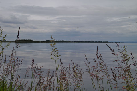 アイルランド ネイ湖