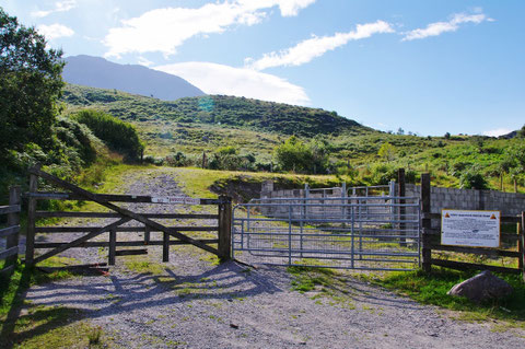 アイルランド旅行