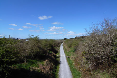 アイルランドの田舎