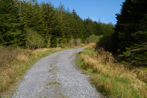 Slieve Elva Burren