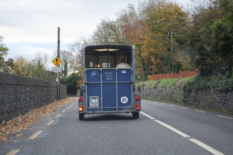 アイルランド ドライブ