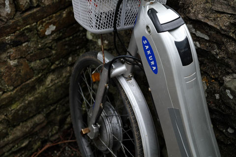 アイルランド自転車