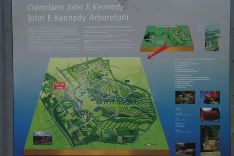 John F. Kennedy Arboretum