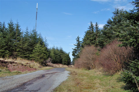 Maghera Mountain