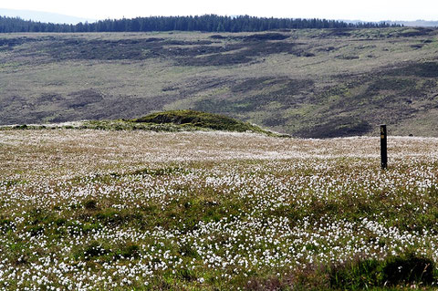 アイルランド 風景