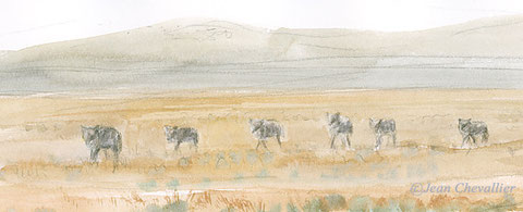 meute de loups aquarelle Jean Chevallier