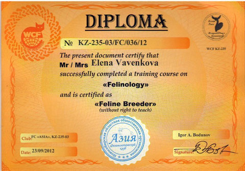 Сертификат фелинолога