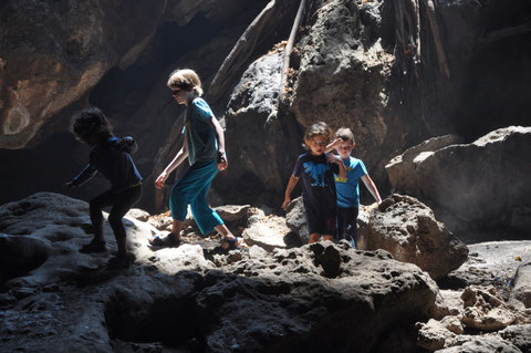 Lieber einen Tag als Tiger leben als 1000 Tage als Schaf.