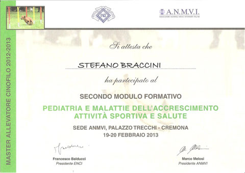 lagotto cane da compagnia