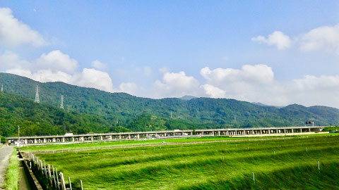 風に揺れるイ草の田んぼ。夏らしい景色です</small> </div> <div style="text-align:center;">