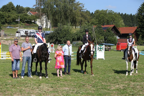 Springen ASVÖ LM Kl. lizenzfrei Bachinger Ernst auf Naldo Foto: Brunnmayr