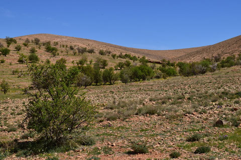 Habitat, région d'Igherm, Anti-Atlas sud-occidental, 2018, ©Frédérique Courtin-Tarrier  