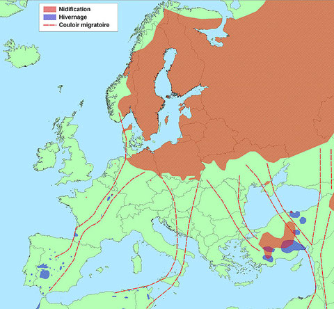 Routes principales de migration