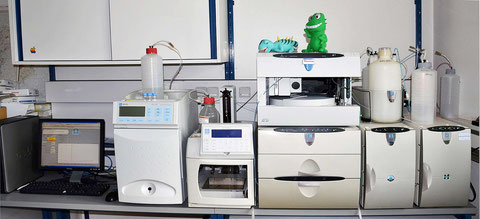 Dionex ion-chromatography system for the analysis of the extracted fluids.