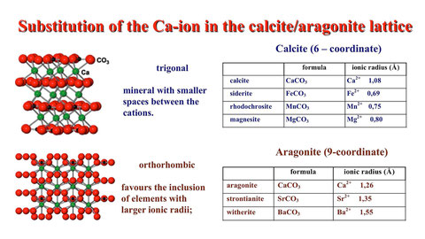 The different ionic radii of calcite and aragonite are responsible for the selective fixing of certain trace elements in these minerals.