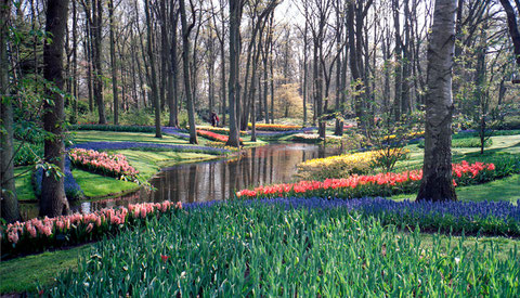 KEUKENHOF I, 2011