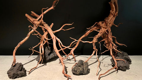 Driftwood aquarium layout from watering to planting to