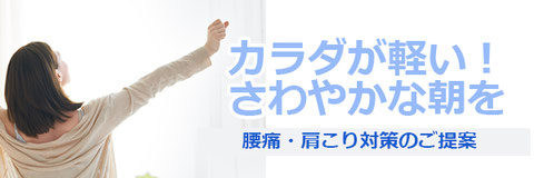 腰痛肩こり対策のご提案