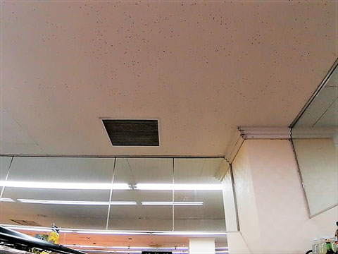 防カビ施工後の天井