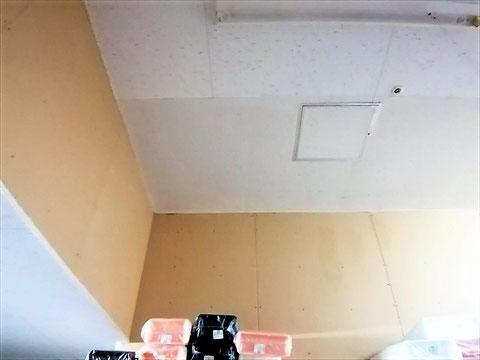 防カビ施工後の天井