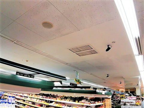 防カビ施工後の天井