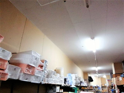防カビ施工後の天井