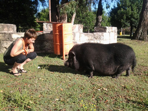 Tina hat im neuen Jahr schon wieder mächtig Schwein
