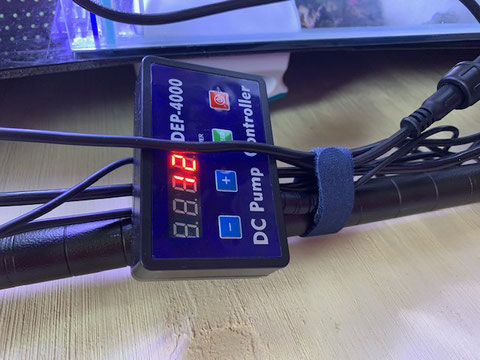 600ワイドオーバーフロー水槽でのDEP-4000使用事例 - saff 600ワイドオーバーフロー水槽でのDEP-4000使用事例 - saff