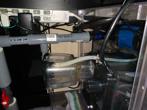 600ワイドオーバーフロー水槽でのDEP-4000使用事例 - saff 600ワイドオーバーフロー水槽でのDEP-4000使用事例 - saff