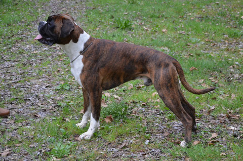 Egan 2 ans