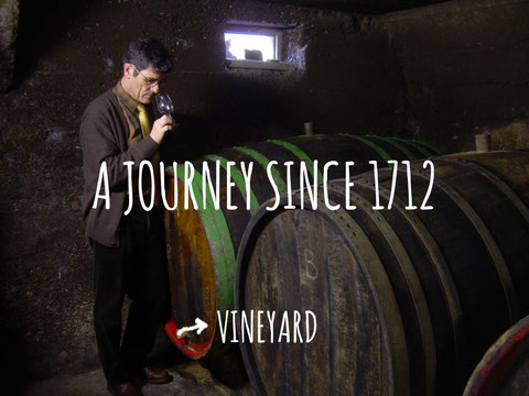 winemaker in the cellar