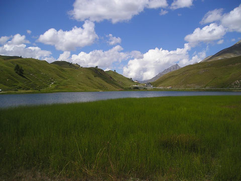 Lac du Col de Larche (Photo P.Caroni)