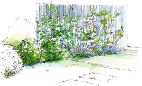 Cloture parfumée (100 Idées Jardin et Editions Marie-Claire))