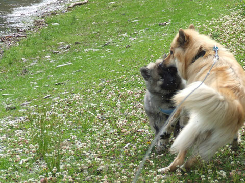 Chante und Kaya