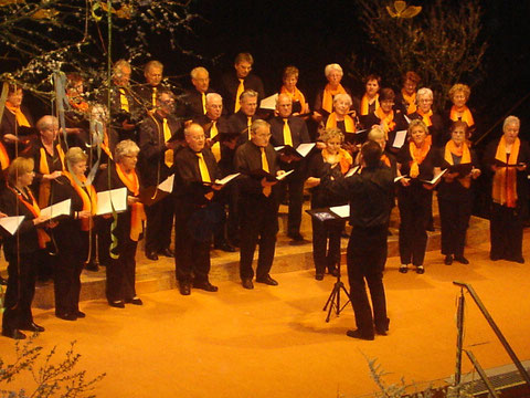 Liederabend in Gräfendorf - 2011