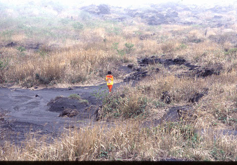 1981年に作成した伊豆大島の地図。世界のどこでも地図調査ができる自信が付く