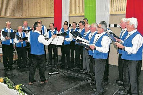 Männerchor 2013