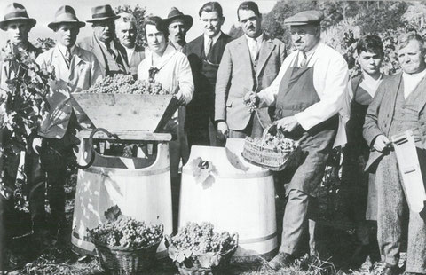 Weinbauverein 1931 (von links nach rechts) Adolf Barben, Hans Barben, Johann Trachsel, Walter Kasser, Frieda Trachsel, Fritz Schneider, Eduard Aeberhard, Emil Marty, Adolf Seelhofer, Kurt Kasser und Eduard Lörtscher.