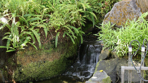 湧き水の写真フリー素材　Spring water photo free material