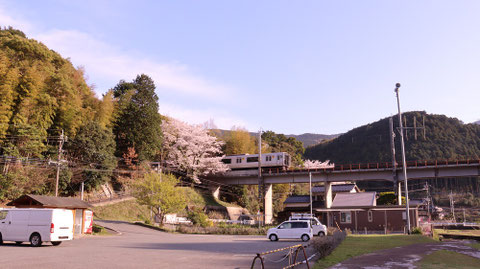 山、桜、電車、夕方、田舎の風景の写真フリー素材 Mountains, cherry blossoms, trains, evenings, countryside landscape photos free material