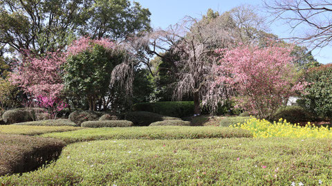 公園、庭園の写真フリー素材 Park, garden photo free material