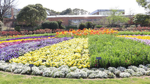 手入れされた庭園の写真フリー素材　Pictures of groomed gardens Free material