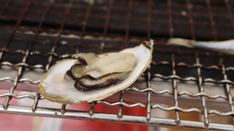 焼き牡蠣の写真フリー素材 Grilled oysters photo free material