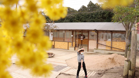子供の写真フリー素材 Children's photo free material
