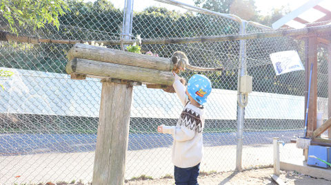 サルに餌をあげる子供