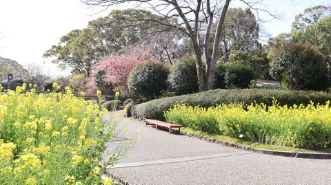 公園の風景写真フリー素材 Park landscape photo free material