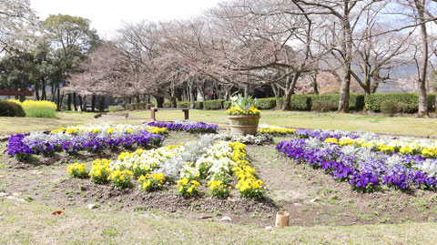 公園の庭園の写真フリー素材 Park Garden Photos Free Material