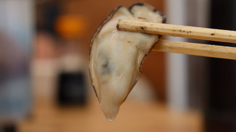 牡蠣の写真フリー素材　Oyster photo free material